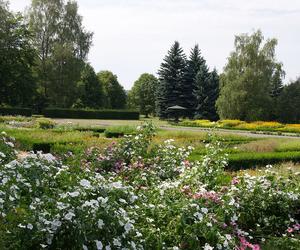 7 najładniejszych ogrodów botanicznych w Polsce. Kiedy je odwiedzić i gdzie są?