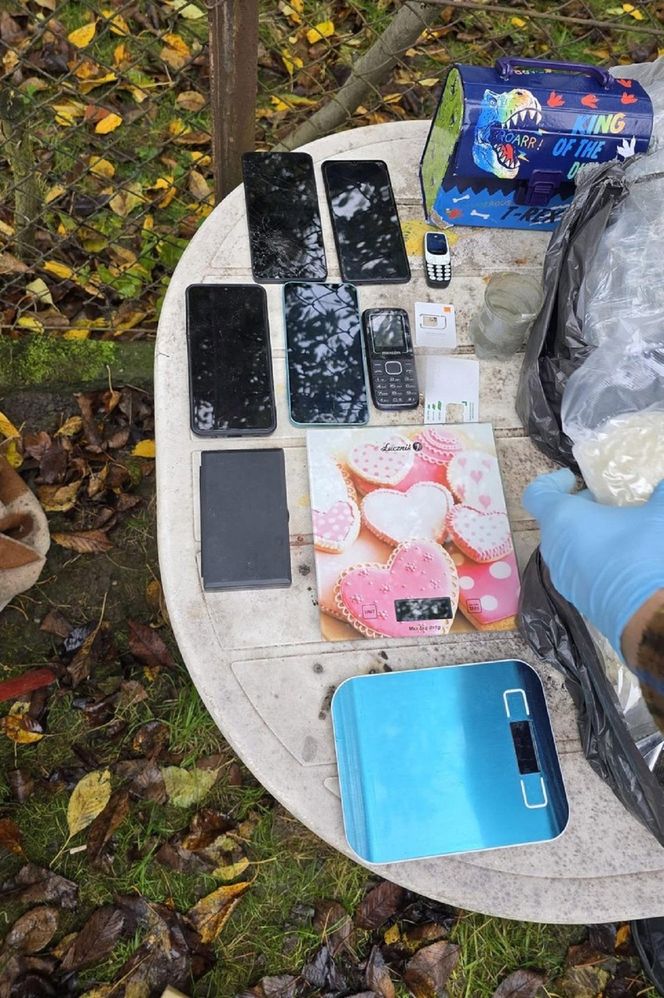 Nalot policji na ogródki działkowe. Zatrzymali 33-latka i jego żonę. 9-miesięcznę niemowlę wciągnięte w przestępczy proceder