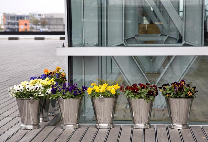 Aranżacja balkonu: kwiaty doniczkowe