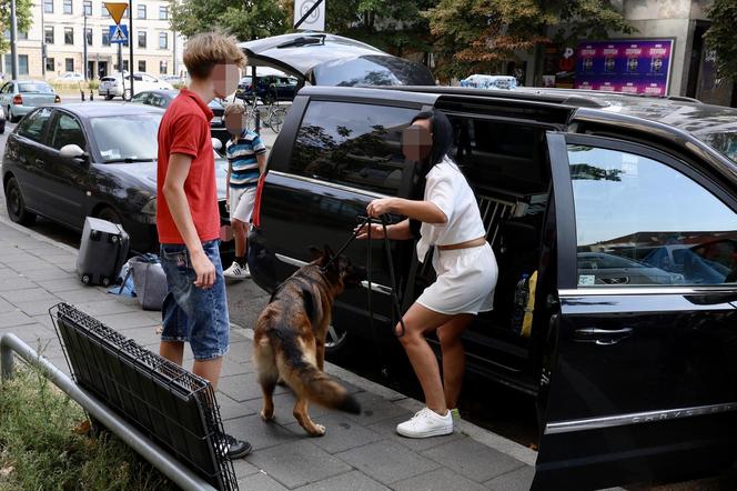 Warszawa. Wilczury dusiły się w aucie! Litwini zamknęli psa w samochodzie i poszli w miasto 