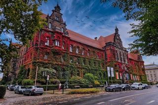 Tutaj złota polska jesień jest najpiękniejsza! Muzeum Narodowe we Wrocławiu aż lśni! [ZDJĘCIA]