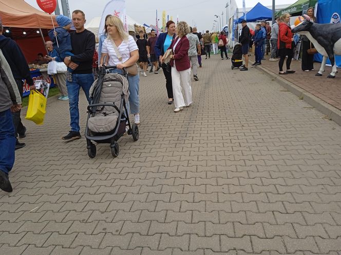 Międzynarodowe Dni z Doradztwer Rolniczym 2025 w Siedlcach