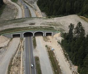 Obwodnica Wąchocka (wrzesień 2025)