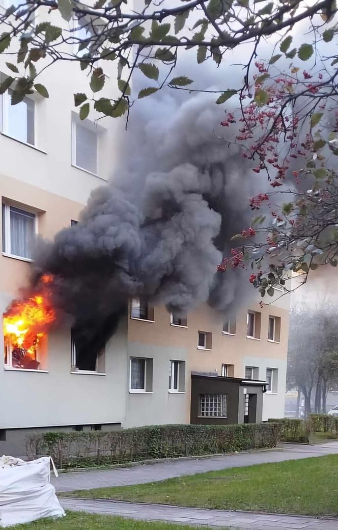 Pożar mieszkania przy ul. Kalinowej w Zabrzu