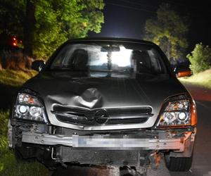 Lubelskie: Tragedia na drodze. Po nieprzytomnym mężczyźnie przejechał samochód 