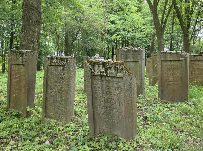 Cmentarz żydowski w Leżajsku