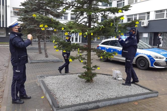 W Łodzi mamy najbezpieczniejszą choinkę