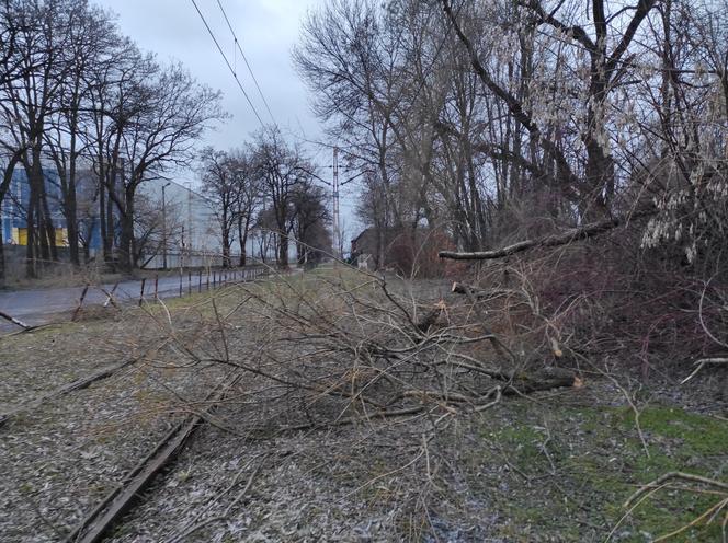 Opuszczona linia tramwajowa do Walcowni