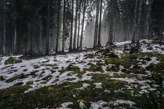 Deszcz ze śniegiem, wichury do 80 km/h, a nawet to! W sobotę lepiej nie wychodzić z domu [Prognoza IMGW na 4.03.2023]