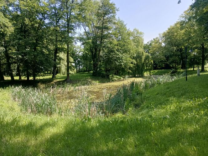 Parki podworskie w powiecie gdańskim