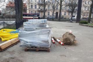 Zmiany w Parku Kościuszki w Lesznie