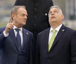 Donald Tusk idzie na wojnę z Viktorem Orbanem?! Jest coraz gorzej, kolejny cios!