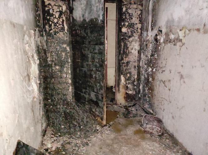  Podpalono drzwi do mieszkania, w którym przebywały 4 osoby