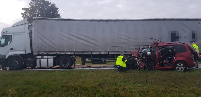Tragiczny wypadek na DK 10 pod Trzeciewnicą! Zginęły dwie osoby [ZDJĘCIA]