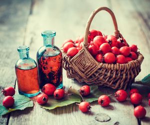 Nalewka z głogu: przepis na nalewkę korzystną dla układu krążenia