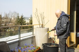 Wielkie sadzenie u Kowala
