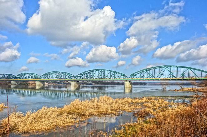 Internauci wybiorą Rzekę Roku 2016! Możemy głosować na przepływająca przez Fordon Wisłę!