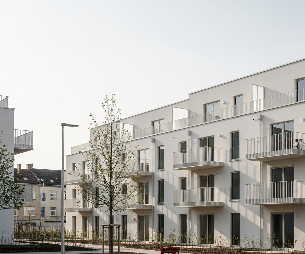 Zespół nowoczesnych, białych budynków mieszkalnych o prostych, geometrycznych formach. Dwa główne budynki są widoczne, z czego ten po prawej stronie dominuje w kadrze, ukazując liczne balkony z jasnymi, metalowymi balustradami oraz duże, ciemne okna i drzwi balkonowe. Pomiędzy budynkami rosną młode drzewa z rzadkimi liśćmi, a pod nimi znajduje się nisko rosnąca roślinność i ciemna ziemia. W tle po lewej stronie, za lewym budynkiem, widać fragmenty starszych, brązowych budynków.