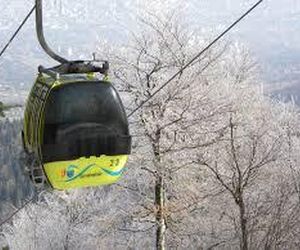 Do tych miejsc turystycznych w Śląskiem wejdziesz z psem. Atrakcje przyjazne czworonogom