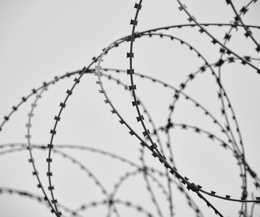 Czy Polska granica jest bezpieczna? Zapytaliśmy o to lubelską ekspertkę
