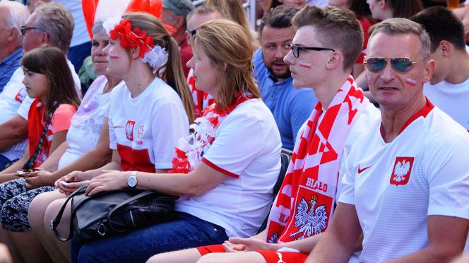 Mundial 2018. Mecz Polska - Japonia. Gdzie oglądać mecz? [ONLINE, STREAM, LIVE]