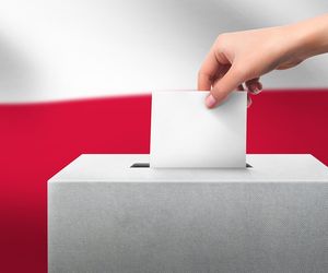 Wybory prezydenckie tuż tuż. Kto chce głosować w USA, musi pilnować tego terminu