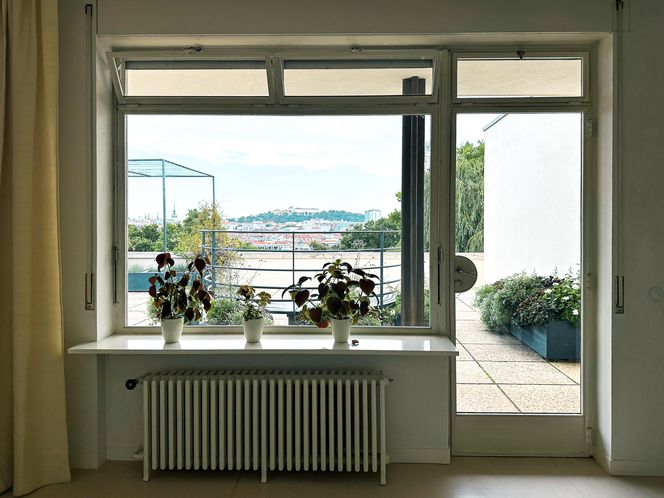 Willa Tugendhatów w Brnie