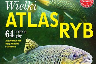 WIELKI ATLAS RYB JUŻ W SPRZEDAŻY! Dowiedz się wszystkiego o polskich rybach