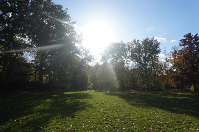 Park Wilsona jesienią