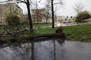 Burza w woj. lubelskim