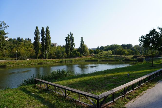 Oto największe dzielnice w Gdańsku