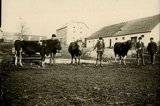 Łopuszno i Piekoszów w czasie I wojny światowej. Zobacz zdjęcia