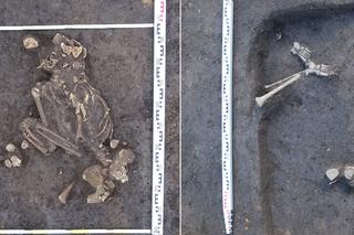 Rolnik z Raciborza znalazł ludzkie szczątki na polu. Były tam kości małej dziewczynki 