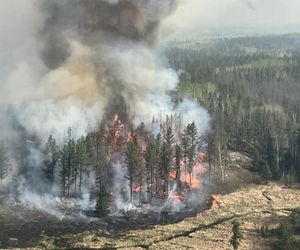 Pożary w Kanadzie zbierają śmiertelne żniwo. Żywioł zaskoczył mieszkańców, są ofiary