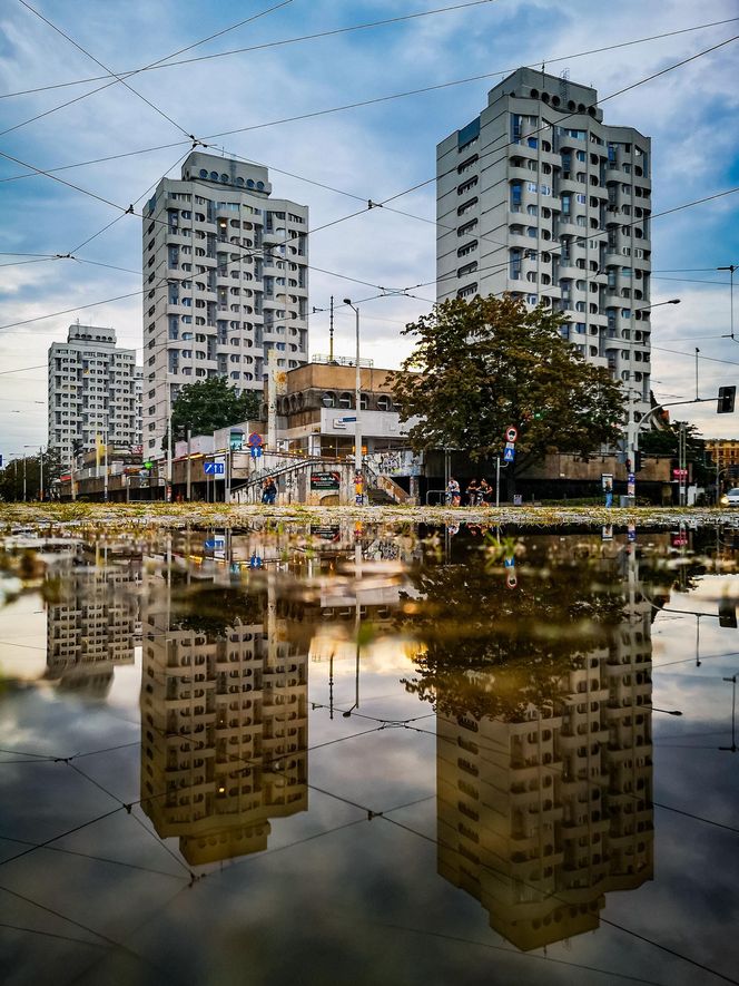 Sedesowce, czyli wrocławski Manhattan