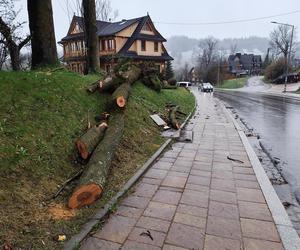 Tragedia w Zakopanem. Basia zginęła, jej pies przeżył