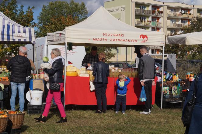 Piknik Wiejskiej Żywności, czyli radosne biesiadowanie w Fordonie [ZDJĘCIA] 