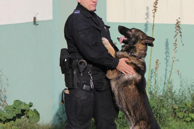Przewodnik z policyjnym psem