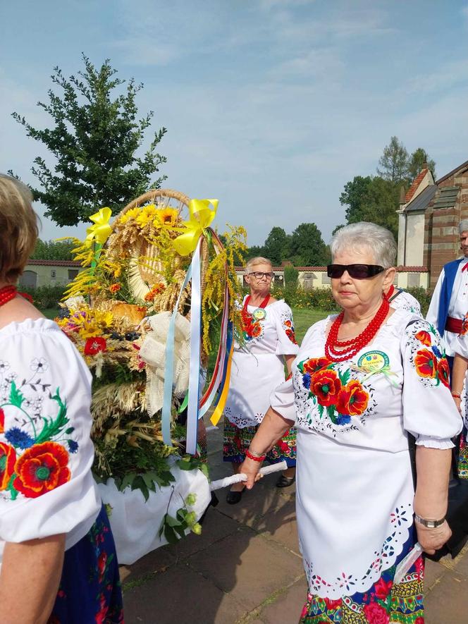 Dożynki 2024 w powiecie starachowickim. W Wąchocku dożynkowe wieńce, korowód i przysmaki