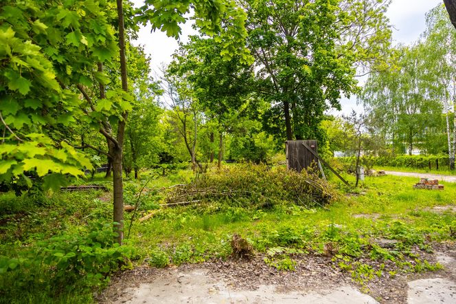 Domki fińskie na Polu Mokotowskim w trakcie odbudowy