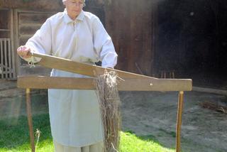 Lniane żniwa w Skansenie. Powrót do przeszłości w Lublinie