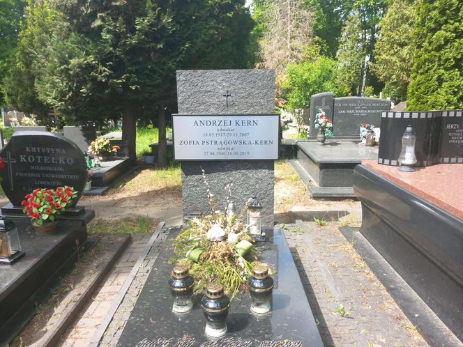 Aleja Zasłużonych Doły