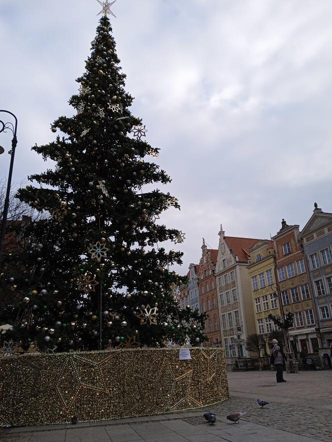 Zimowo i świątecznie w Gdańsku. Zobaczcie nasze zdjęcia!