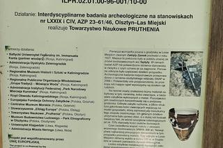 Tajemniczy Diabelski Most nad Łyną. W pobliżu znaleziono cenne arabskie artefakty [ZDJĘCIA]