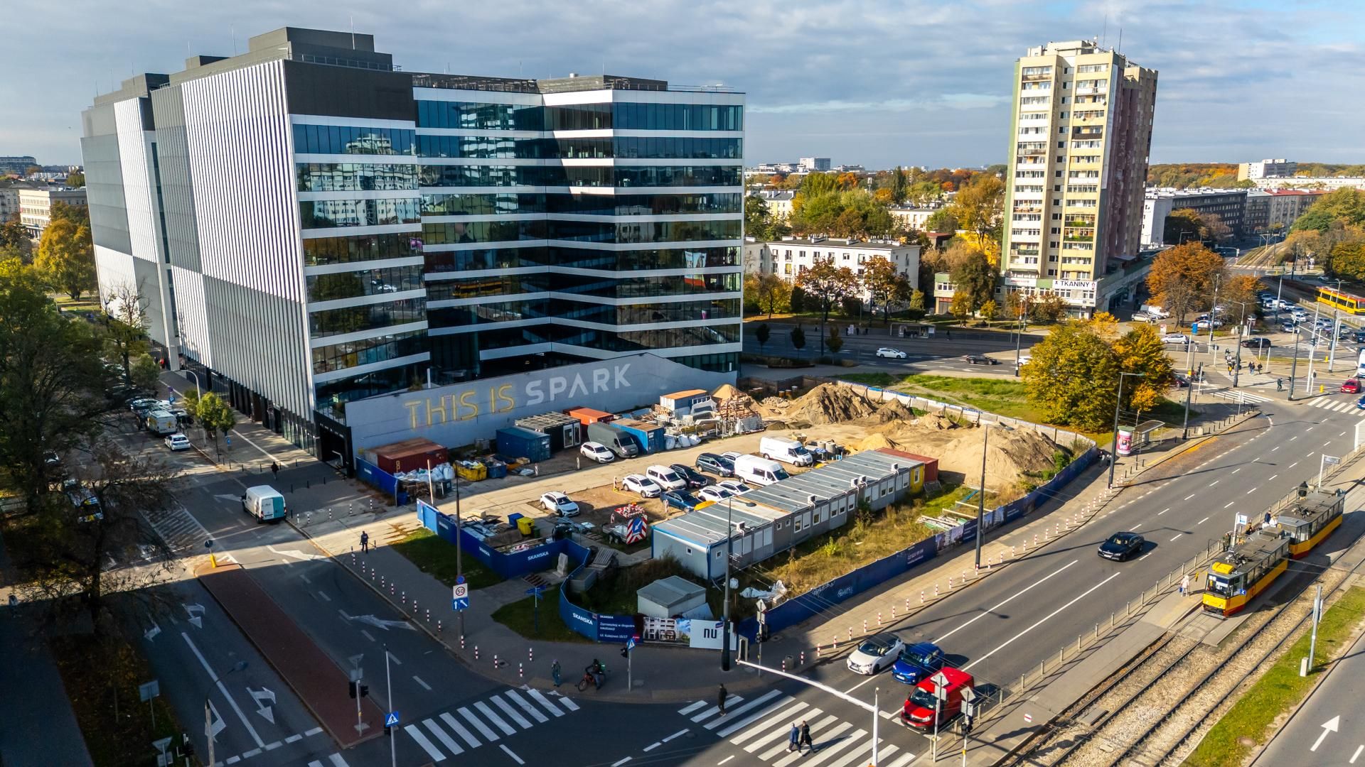 Serek wolski w Warszawie