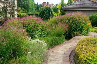 Ścieżka w ogrodzie