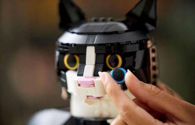 LEGO Ideas 2024: Kot w smokingu 