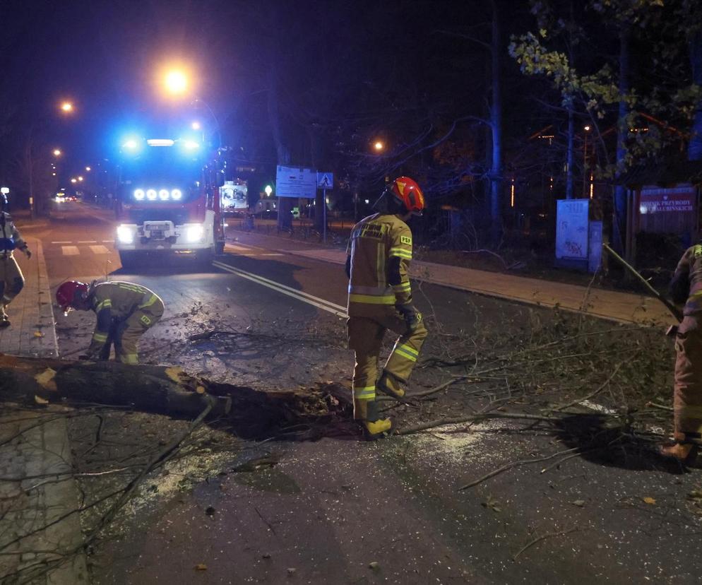 Małopolska: wieje silny wiatr, który łamie gałęzie i drzewa. IMGW ostrzega: zagrożenie dla zdrowia i życia