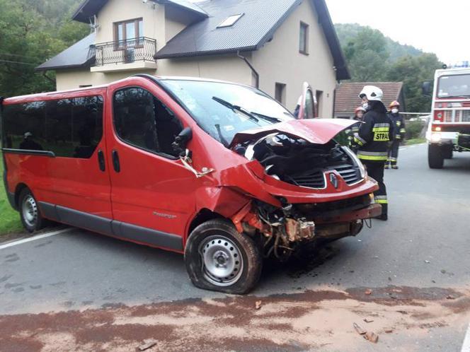 Kicznia. Uderzył samochodem w budynek. Wszystko przez dzikie zwierzę