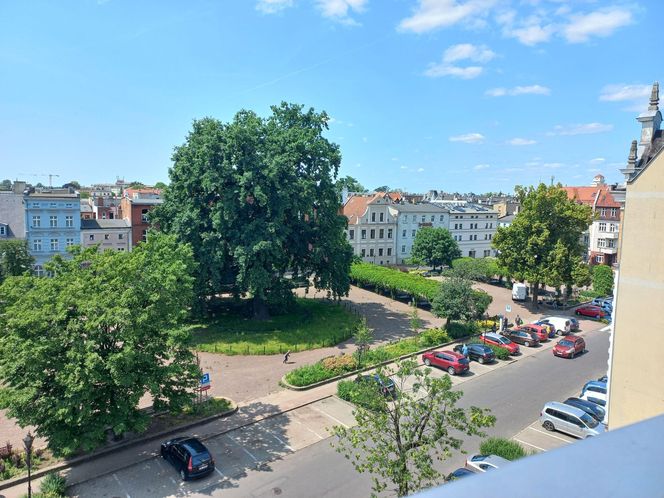 Ale miejsce! Letnia czytelnia na dachu biblioteki w Lesznie prawie gotowa